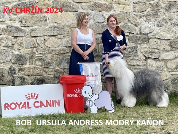 2024 chrzin bobCA570DD6 C6D2 3C3C 26E3 95696FE78801