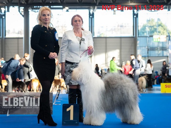 2025 brno 1775DA596 A796 9698 C280 A174F83A4C19