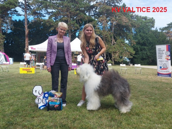 2025kv 061129C3BC 17E5 92D9 6E4E 2AB882A86775