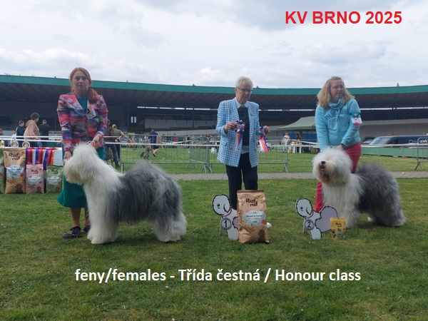 2025kvbrno6BC6403B 7C72 12FA BE2D 78EADEBFCE46