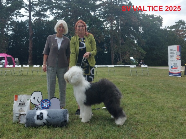 2025sv 19123DEDC1 319D 0077 2301 6B9AFFC63617