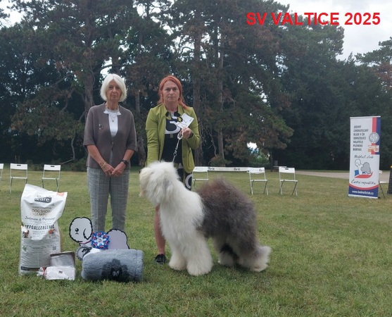 2025sv 21012202C5 0D5B AB39 0012 FF48381038DB