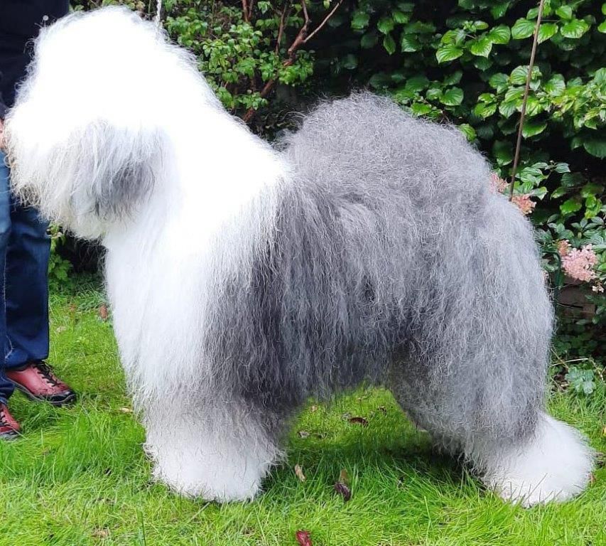 monty 2ED8DC626 CBBE 12D5 395A 4EE3BB017C1B